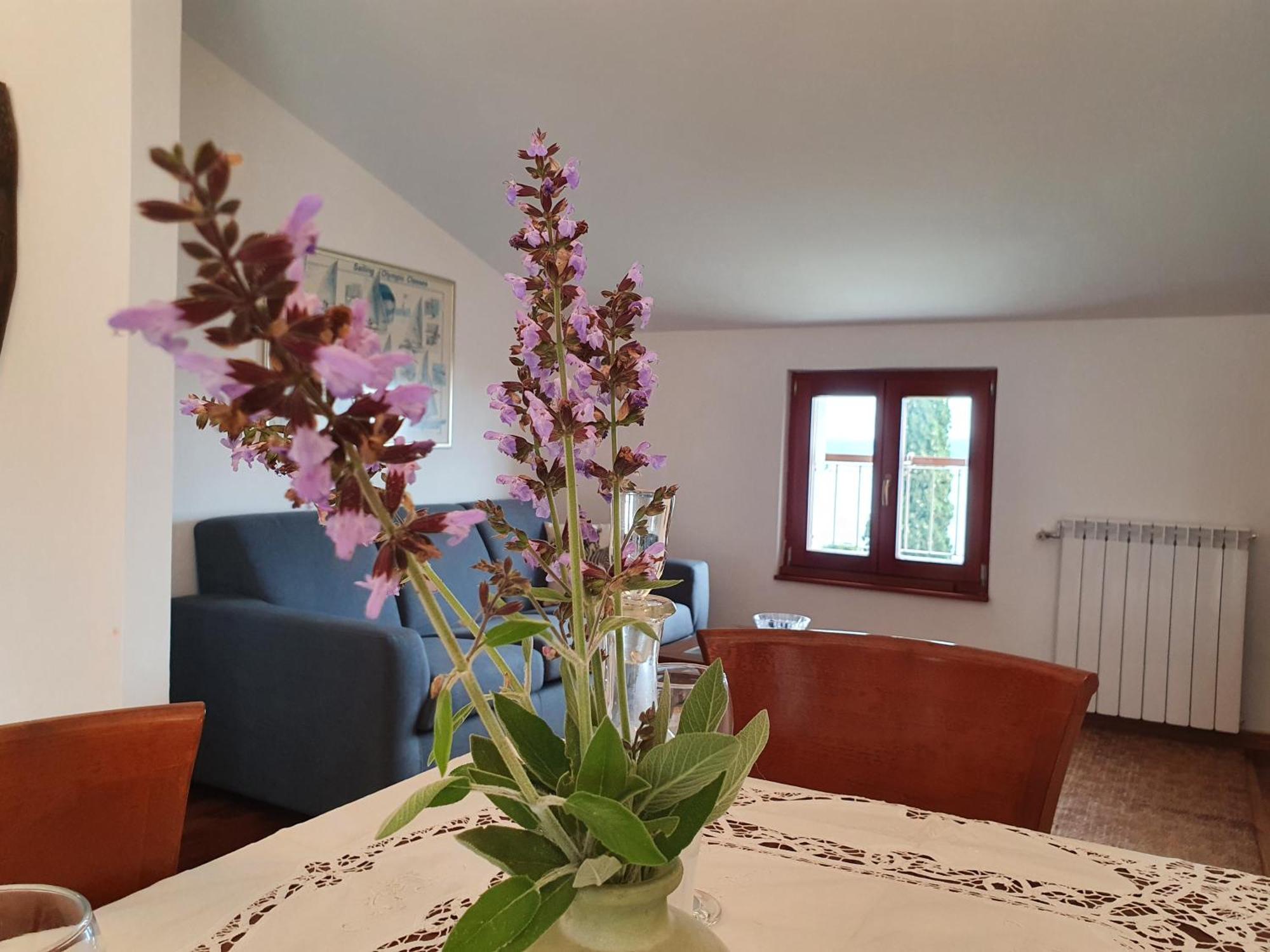 Vila Rosa بورتوروز الغرفة الصورة