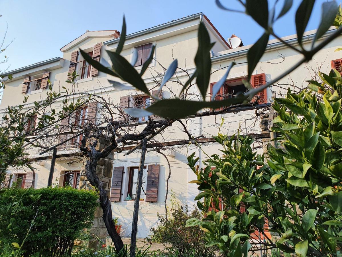 Vila Rosa بورتوروز المظهر الخارجي الصورة
